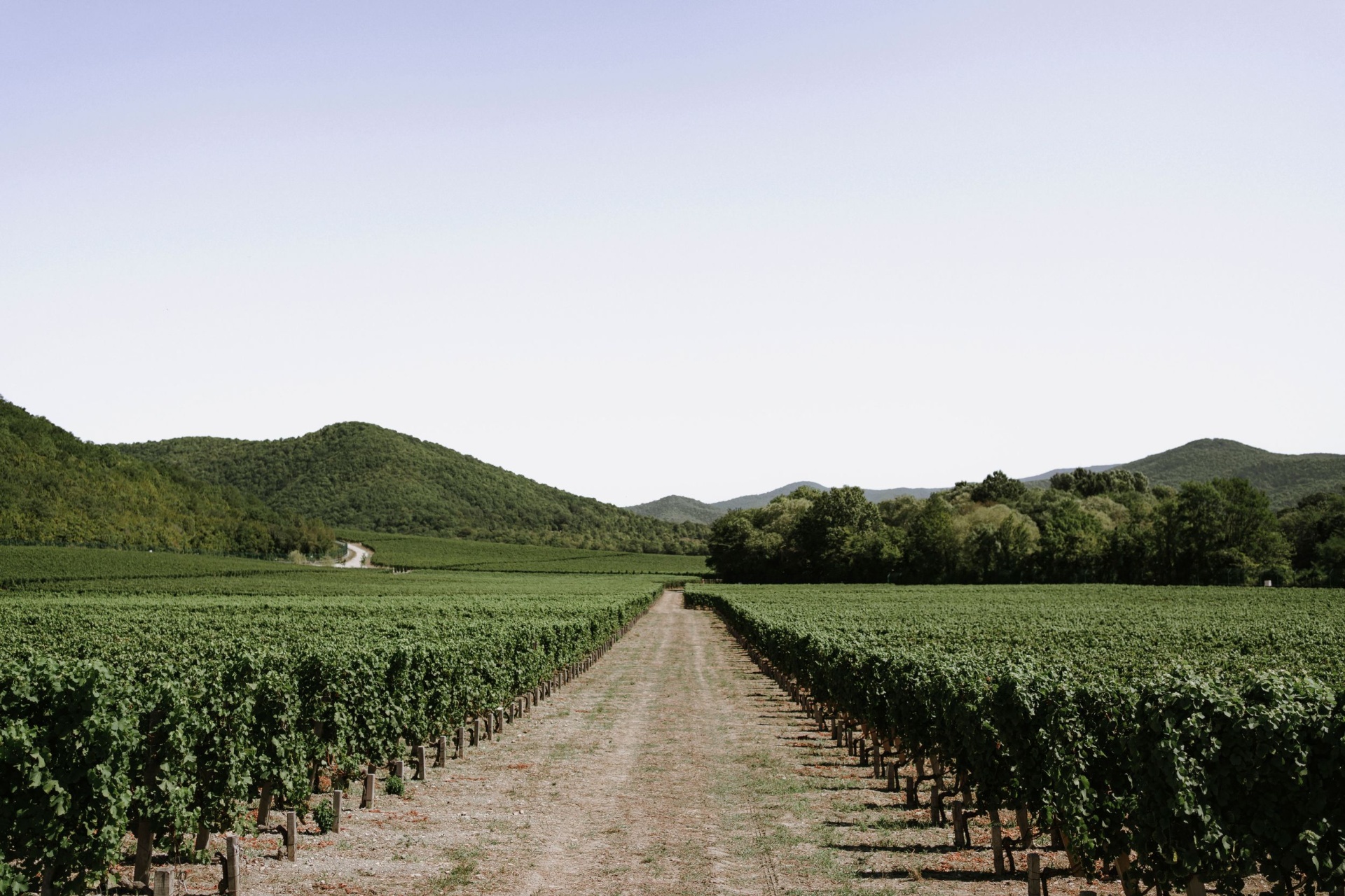 Сила родной земли