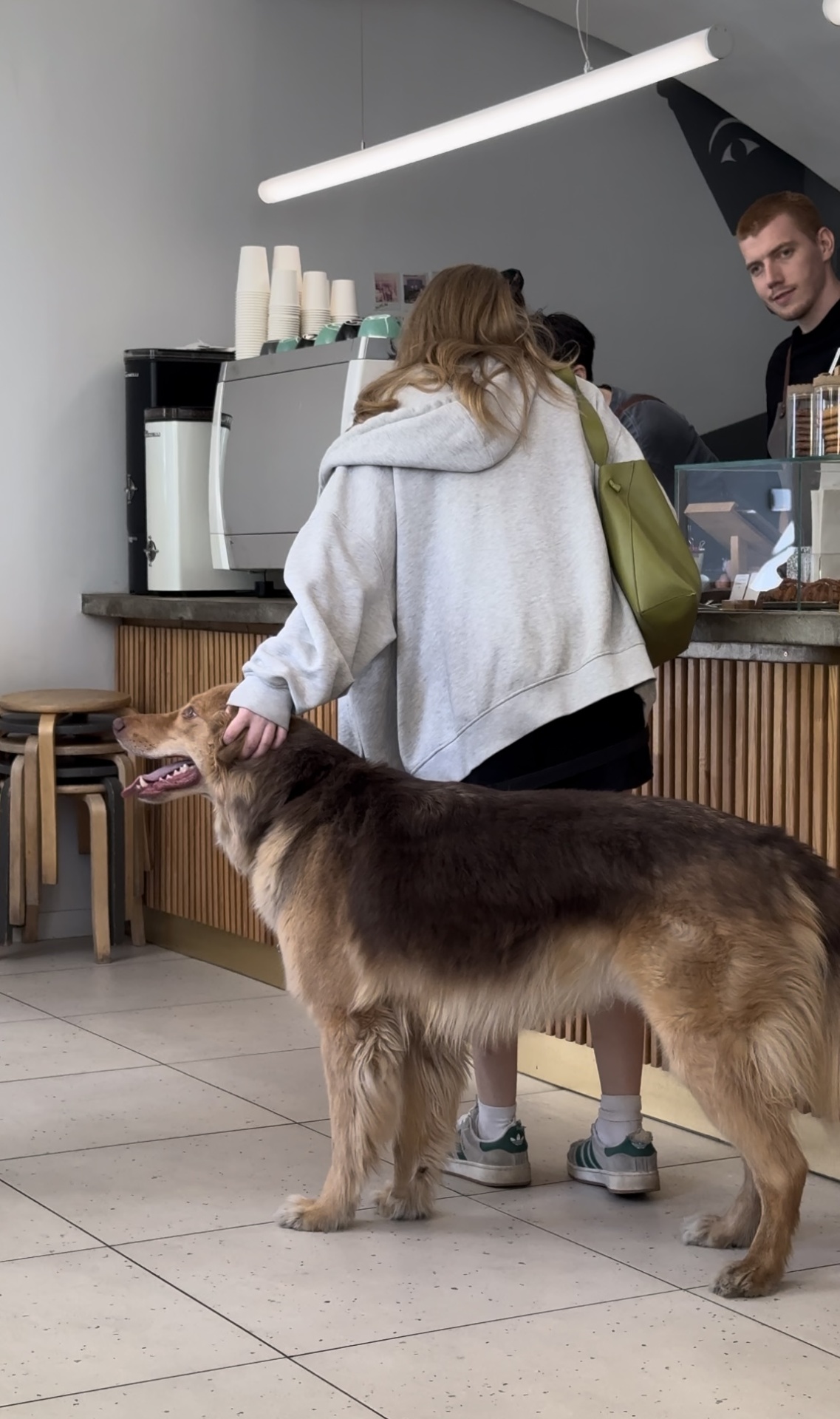 Характер кофе1.PNG