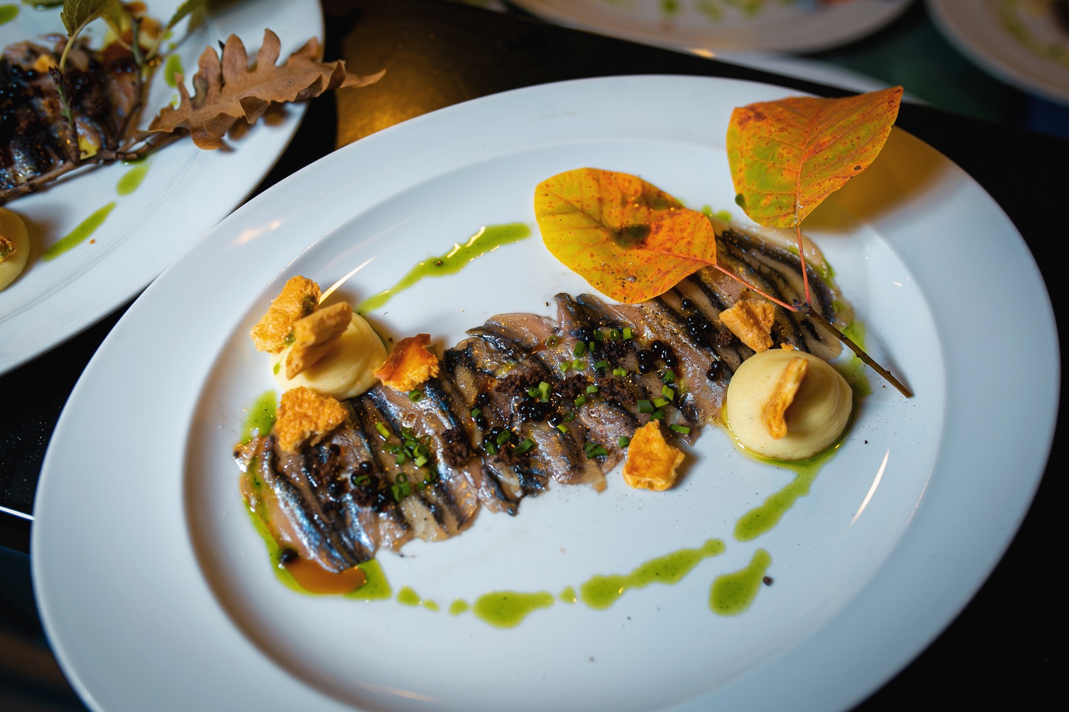 Сила южных земель (2).jpg