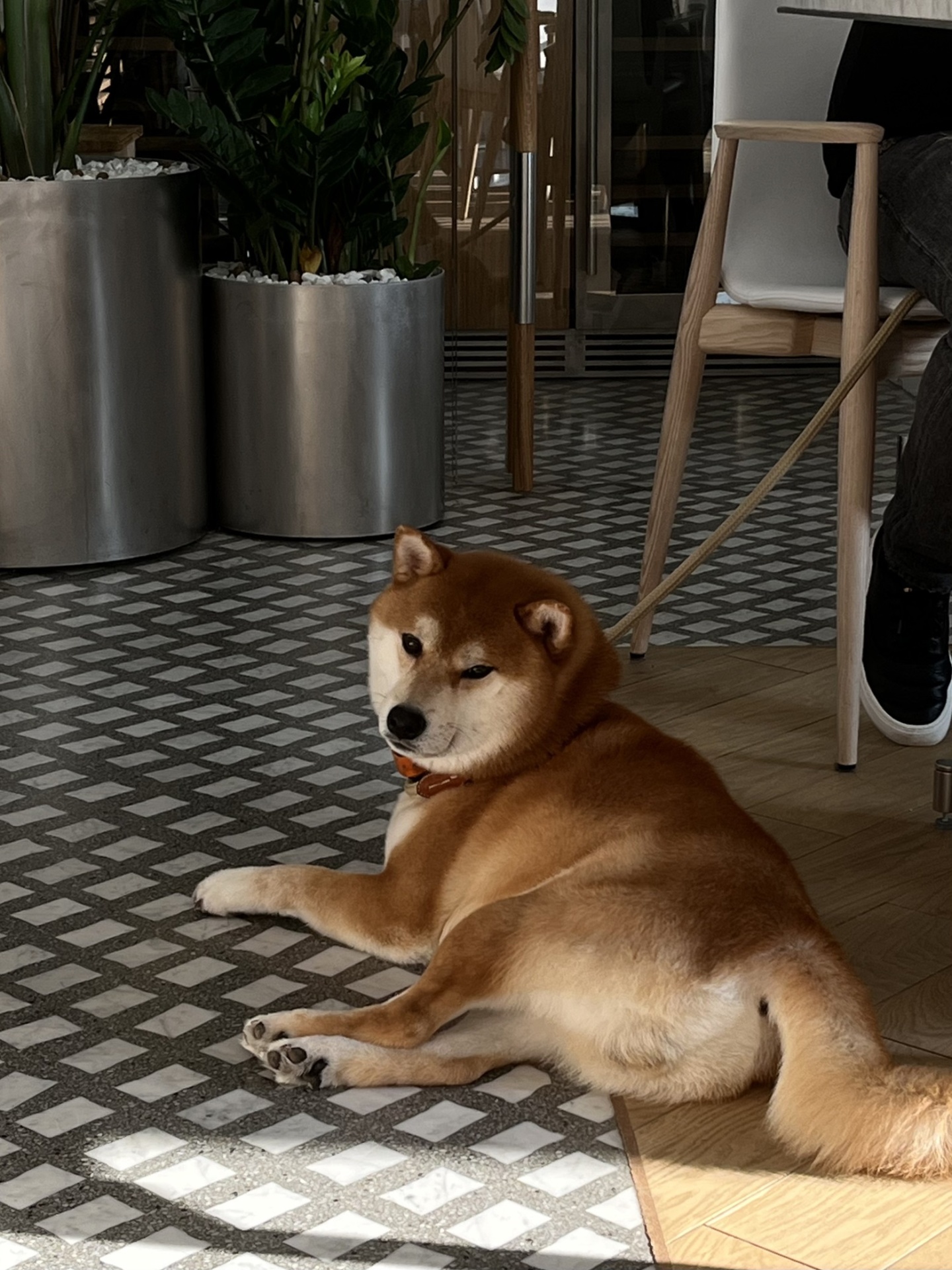 Забыли сахар (2).jpg