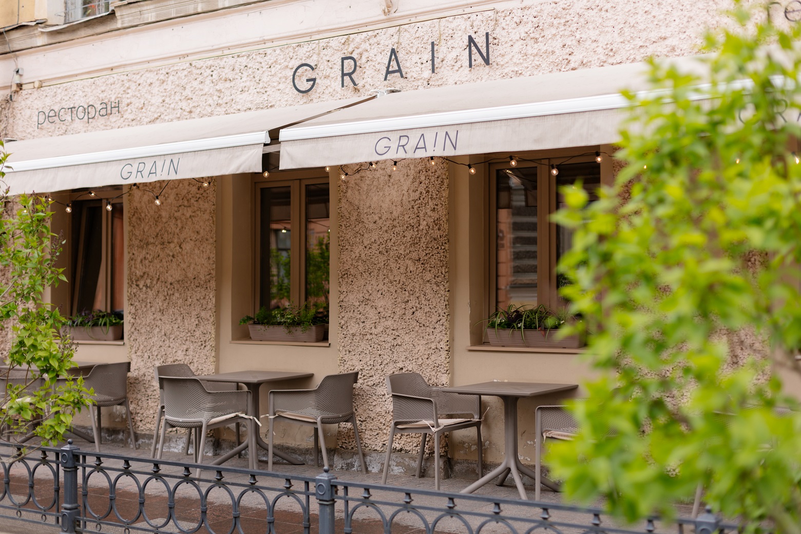 Grain_terrasa (1).jpg