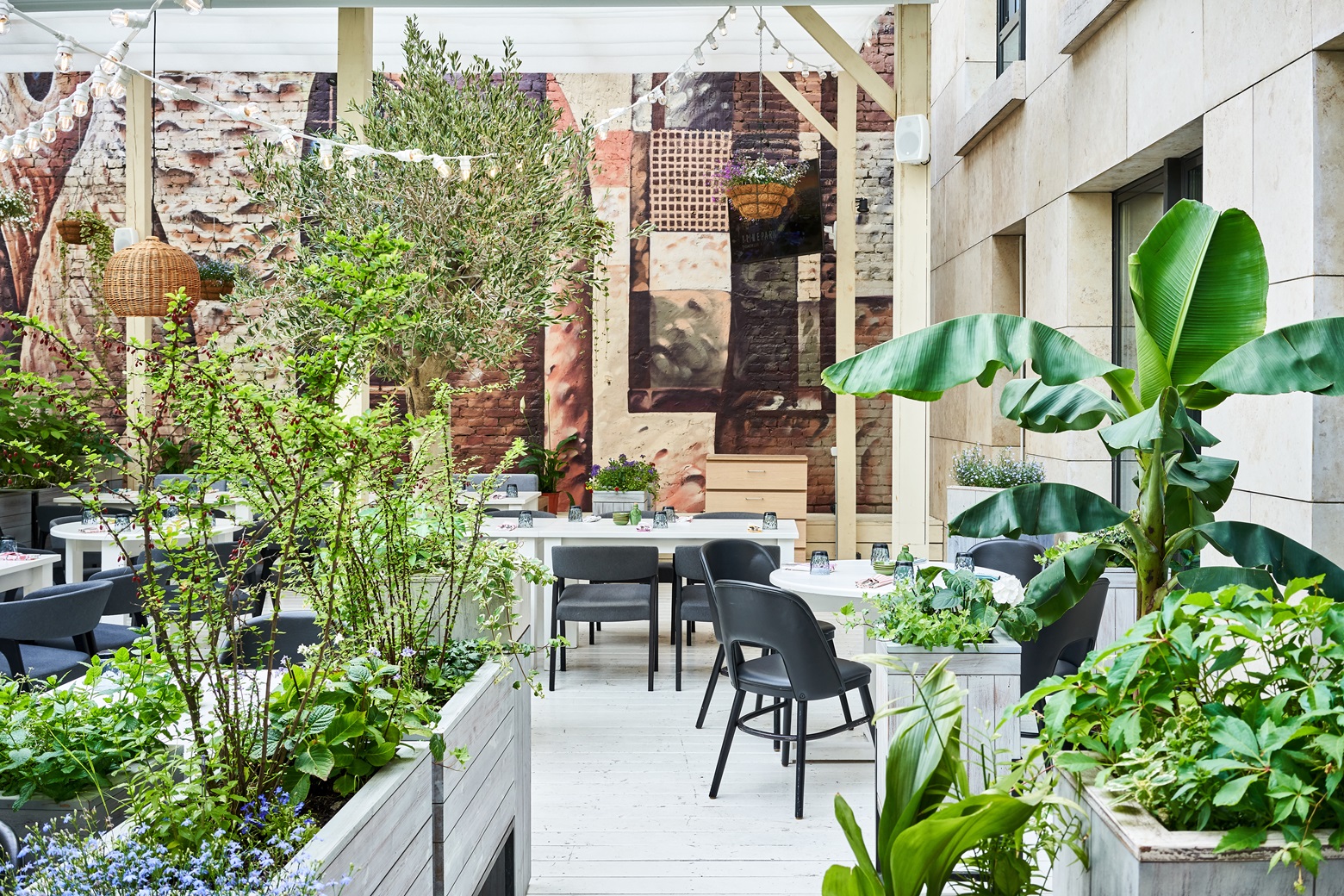 Терраса Nama_1.jpg